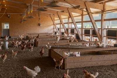 07_18_Kirchdorf BE_1316_mittel_8616.jpg