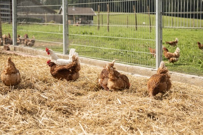 10_18_Le Bemont_12067_mittel_9712.jpg