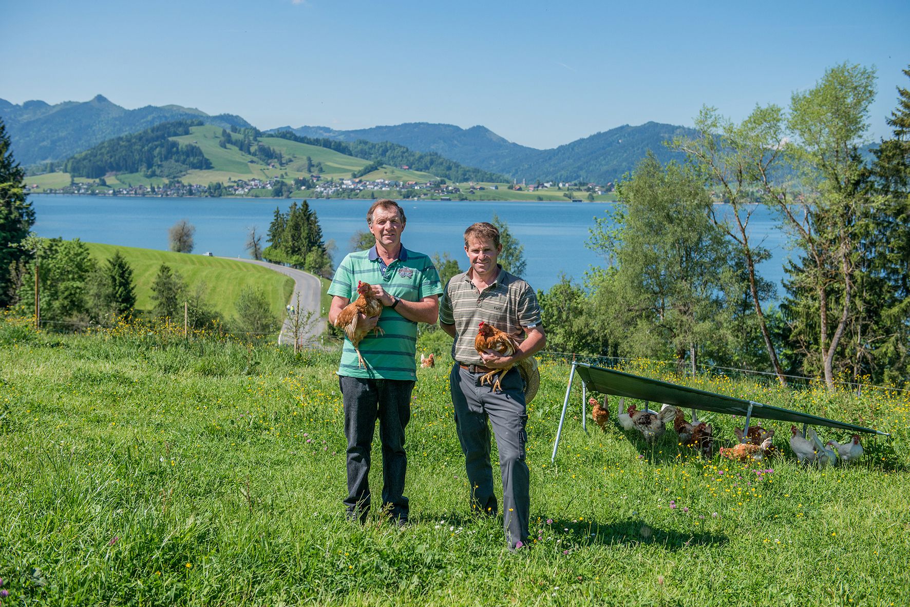 BZG Ueli u. Karl Kälin  (0-CH-12693)