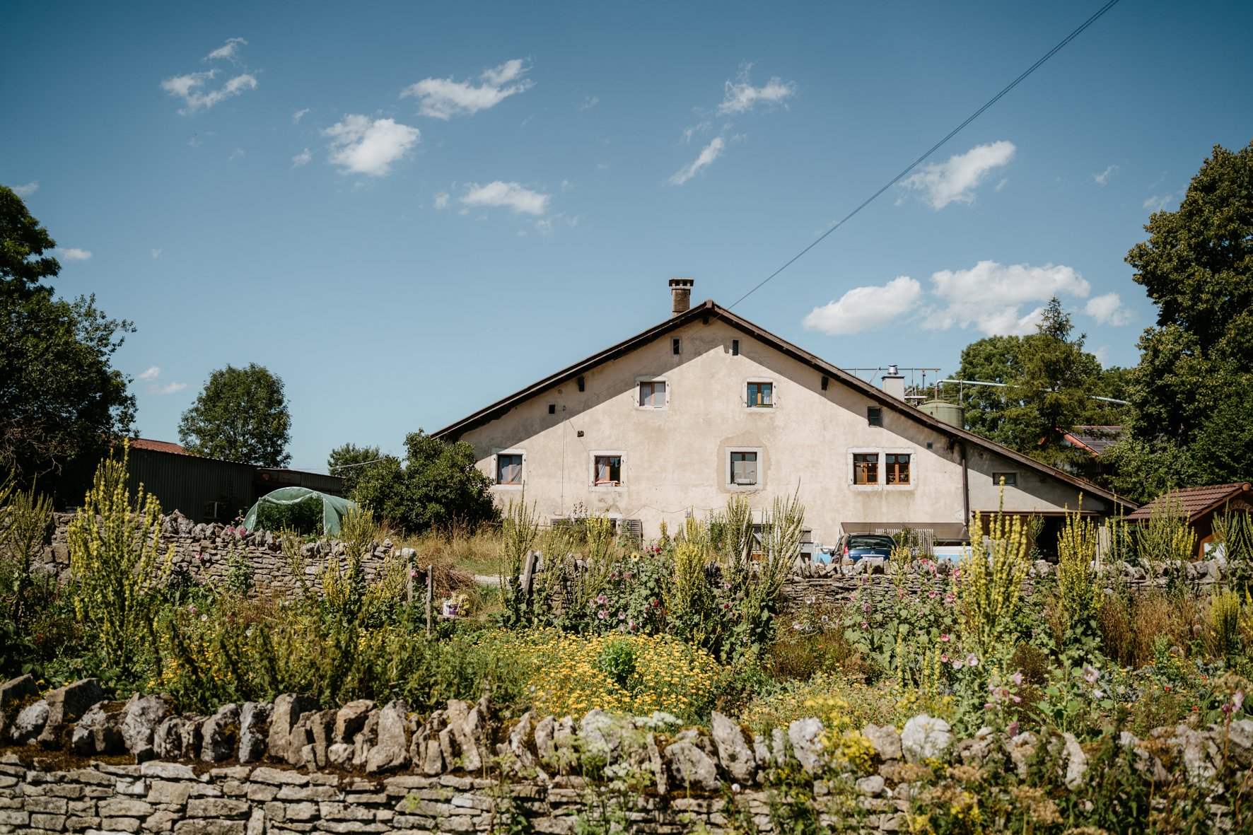 Brahier Georges (0-CH-21312)