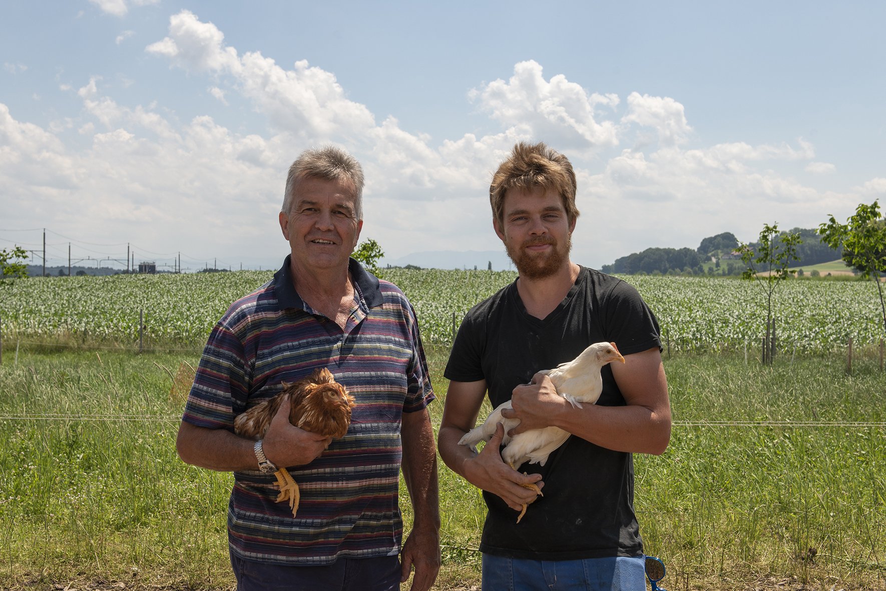 D&R Donat  (0-CH-168)