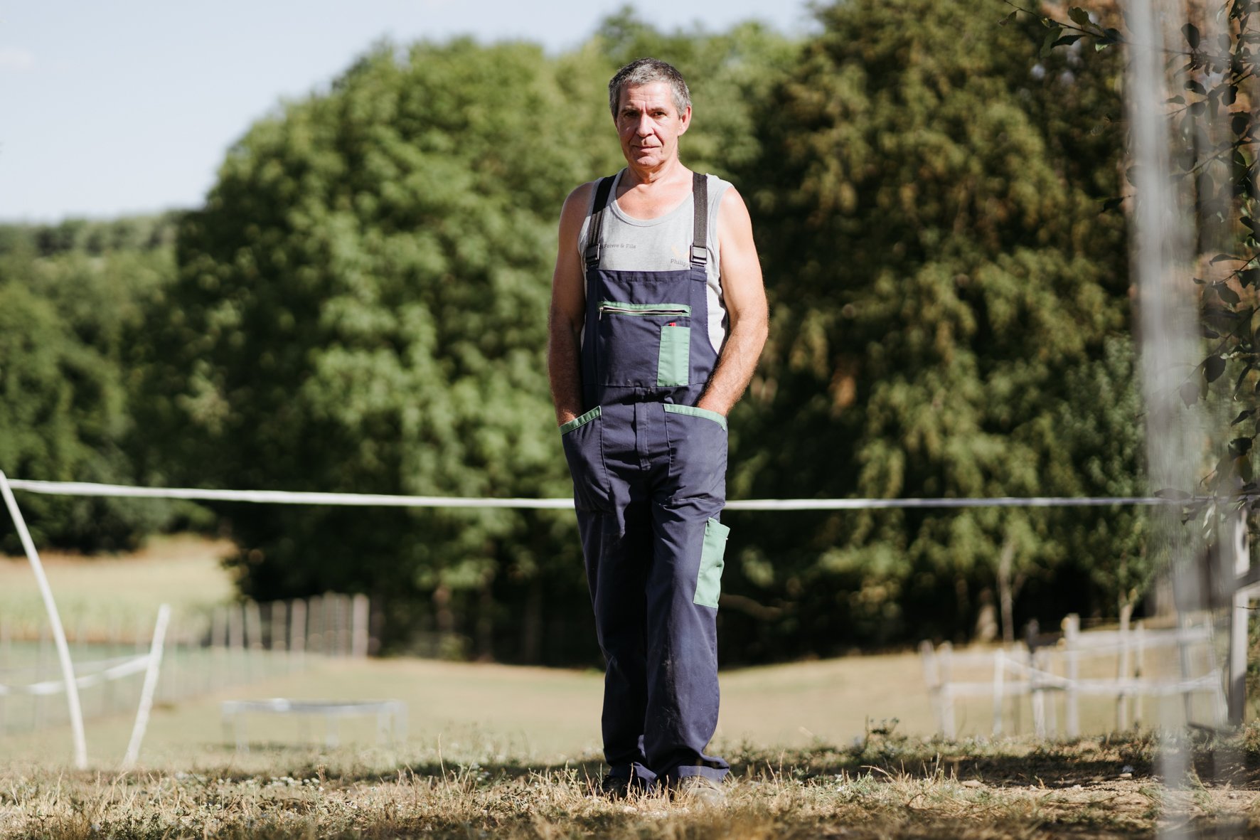 Faivre Frères (0-CH-11528)