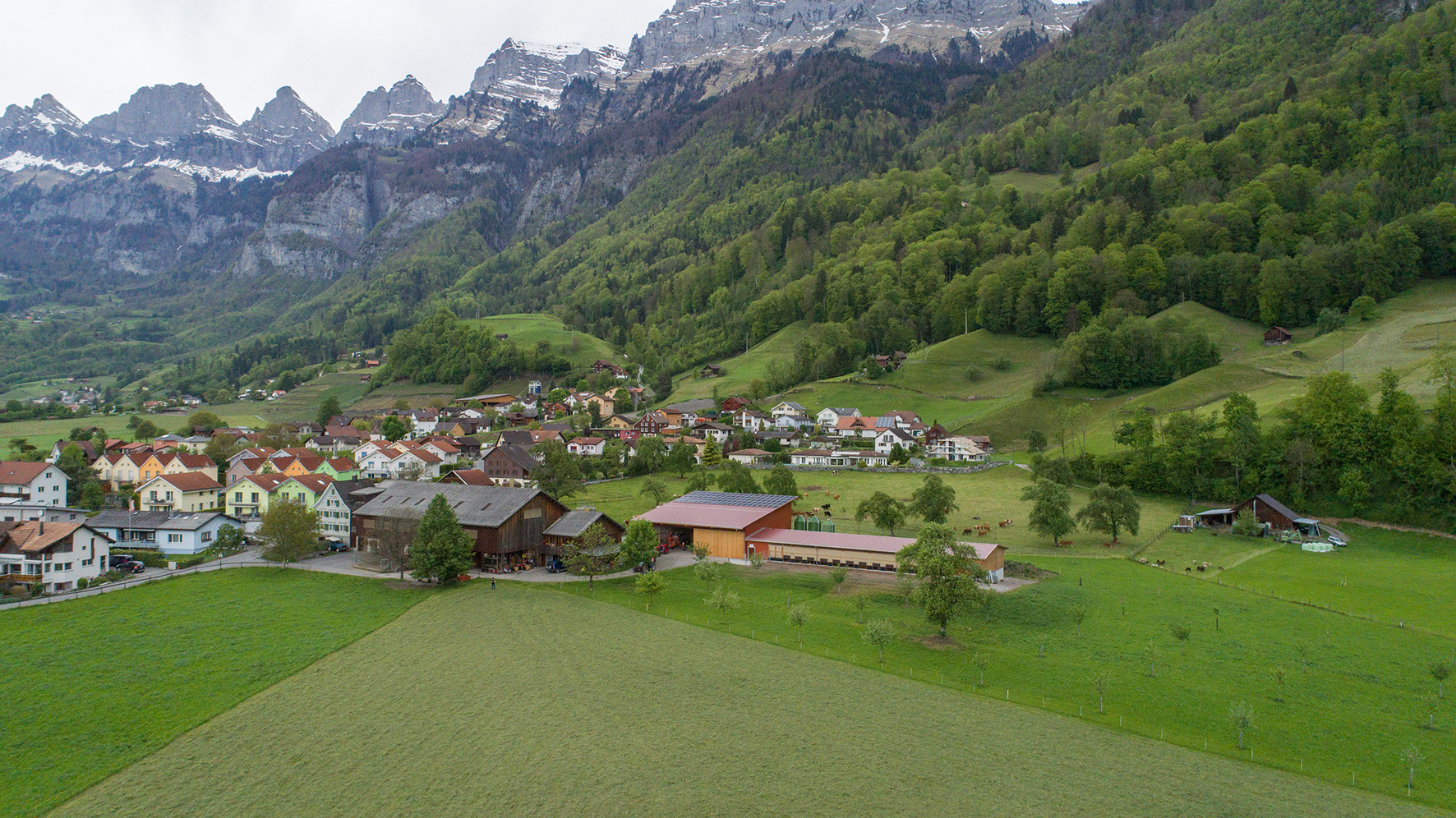 Ramer Christian (0-CH-8750)