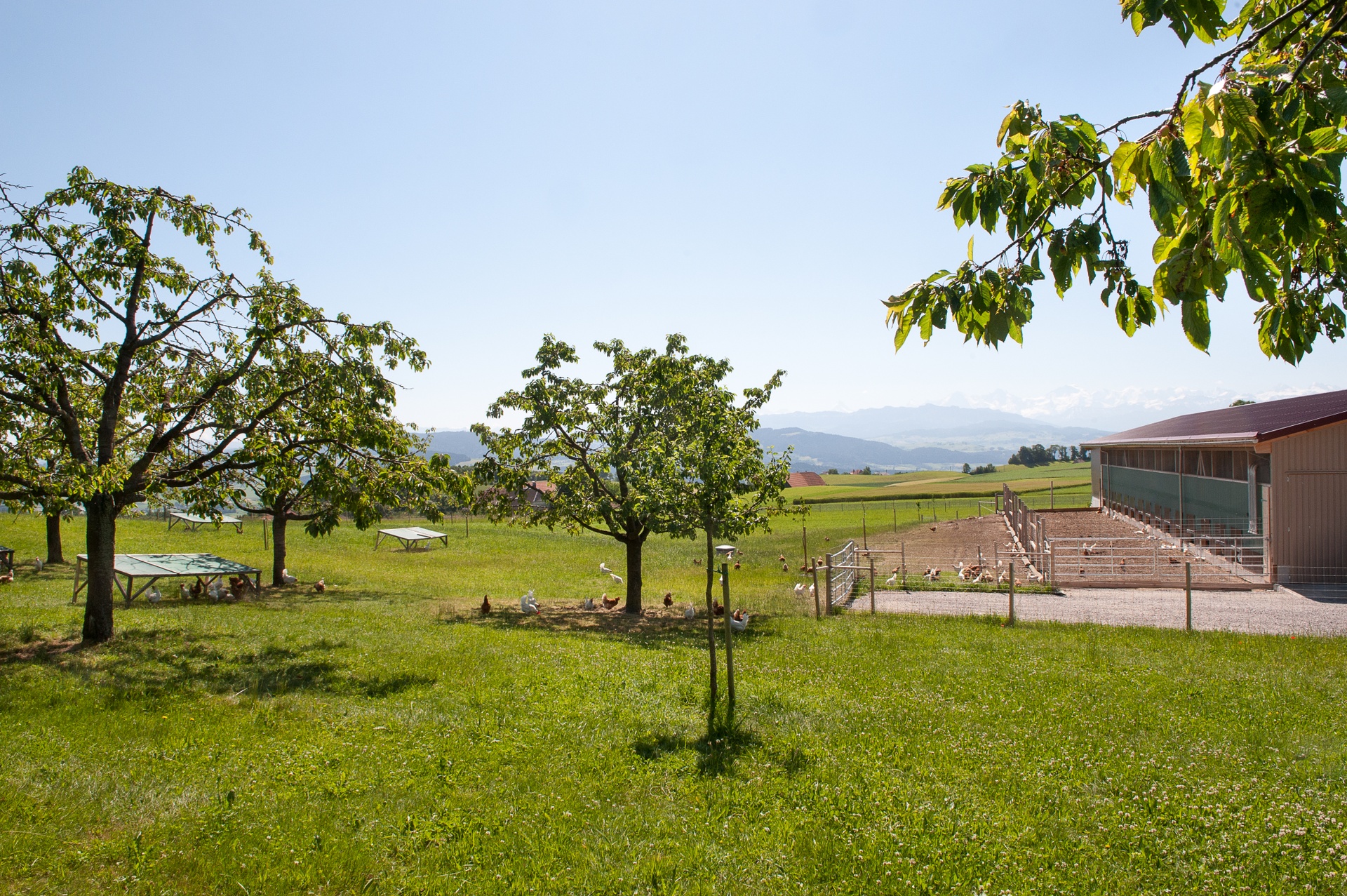 Schüpbach / Pfulg  (0-CH-20326)