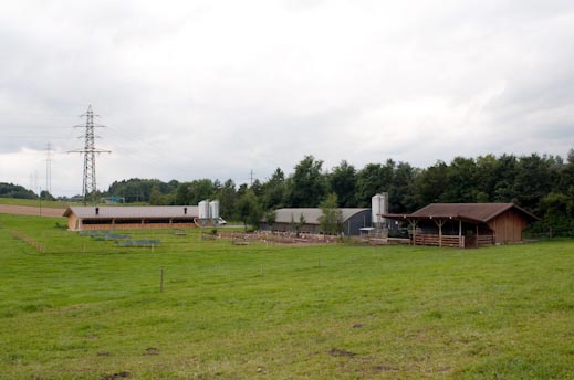 Werder Peter (0-CH-6532)